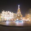Xmas Collective、Canzoni di Natale、Canções de Natal - Elves in the Woodlands