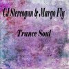 Cj Stereogun、Margo Fly - Fleeting Love (Original Mix)