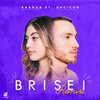 Ananda、Gudi、Dreicon - Brisei (GUDIRemix)