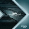 Tibiza - Unexpected Changes (Original Mix)