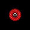Summer Graves、DLT - Bill (Original Mix)