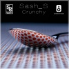 Sash_S - Crunchy (Original Mix)