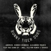 Alejandro Franco、Andruss、Giorgio Brindesi - Play This Game (Original Mix)