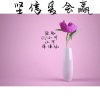 欧耶、小可、苏可可、洋菟 - 【2020魔力电弹】地狱弹鼓