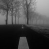 LastEDEN - Let It All Be Forgiven
