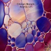 Cristian Manolo - Reflection (Original Mix)