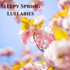Sleeping Music for Babies - I Once Had A Sweetheart