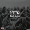 Deetech - Dark Stones (Original Mix)