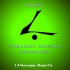 Cj Stereogun - The Story Of A Dolphin (Piano Version)