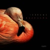 10Drums - Guaracha (Original Mix)