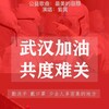 紫萁 - 最美的容颜 (伴奏)