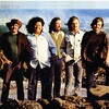 The Turtles - How You Love Me