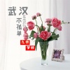 九姨、梦姨 - 世界这么大还是遇见你 (DJ英文咚鼓版)