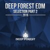 Max Stellar - The Prophecy (Extended Mix)