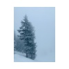 Joshua Stoddard - Silent Night (Explicit)
