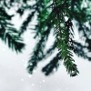 Canções de Natal、The Christmas Chorus、Christmas Songs for Kids All Stars - Getting in the Spirit