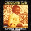Major、James、Young Lo - Carlos Warren - Up In Traffic (Explicit)