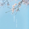 肖斯塔 - 春暖花开时