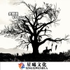 宇辰 - 期待已久 (Remix)
