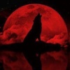 G!ockk - Lone Wolf (Explicit)