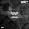 Audioling - AP in LA