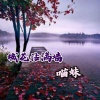慕遥. - 城花沾满墙