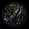 Nick León、opal°、BEΛR//FVCE - limited only (feat. Nick León & Bear)