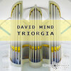 David Mind - Triorgia (Original Mix)