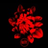 Selep - Aston (OriginalMix)