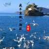 陌皓 - 我本京城一酒徒