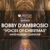 Bobby D'Ambrosio、Kenny Carpenter《Voices Of Christmas (KennyCarpenterContinuousDJMix)》[MP3/LRC]