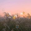 言泽、Alysa、尤川 - 花.间.酒