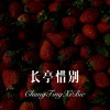 可可 - 长亭惜别 (Remix)