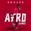 DJ Prince、Skales - Shaku Shaku