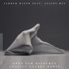 Andrew Bayer、Alison May - Open End Resource (Leaving Laurel Remix)