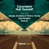 Cucumbers - Ask Yourself (Original Mix)