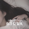 杨二爷 - 你冷得像风 (Remix)