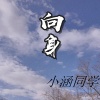 小涵同学 - 向身