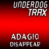 Adagio《Diappear (Original Mix)》[MP3/LRC]