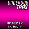 Mr Mister《Big Mouth (Original Mix)》[MP3/LRC]