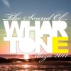 Dale Hurst - Lifted (Original Mix)