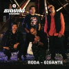 Biquini Cavadao、Biquini Cavadão - Roda-Gigante