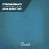 Stereo Mutants、antonia lucas - What Do I Do Now (Original Club Mix)