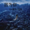 DJ星光、在忠 - 音箱震冒烟