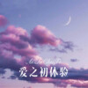 清一色 - 爱之初体验 (Remix)