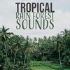 Nature Recordings、Natural Sound Makers、Natural Sounds Selections - Harmonizing Birds