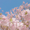 浪子.. - 阿郎阿郎 (Remix)