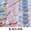 李墨客 - 牧马的人