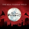 the real tuesday weld《It's Time》[MP3/LRC]