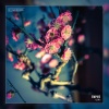 4_16☆ - Empire